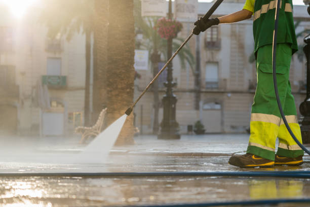 Best Sidewalk and Walkway Cleaning  in Springfield, MI